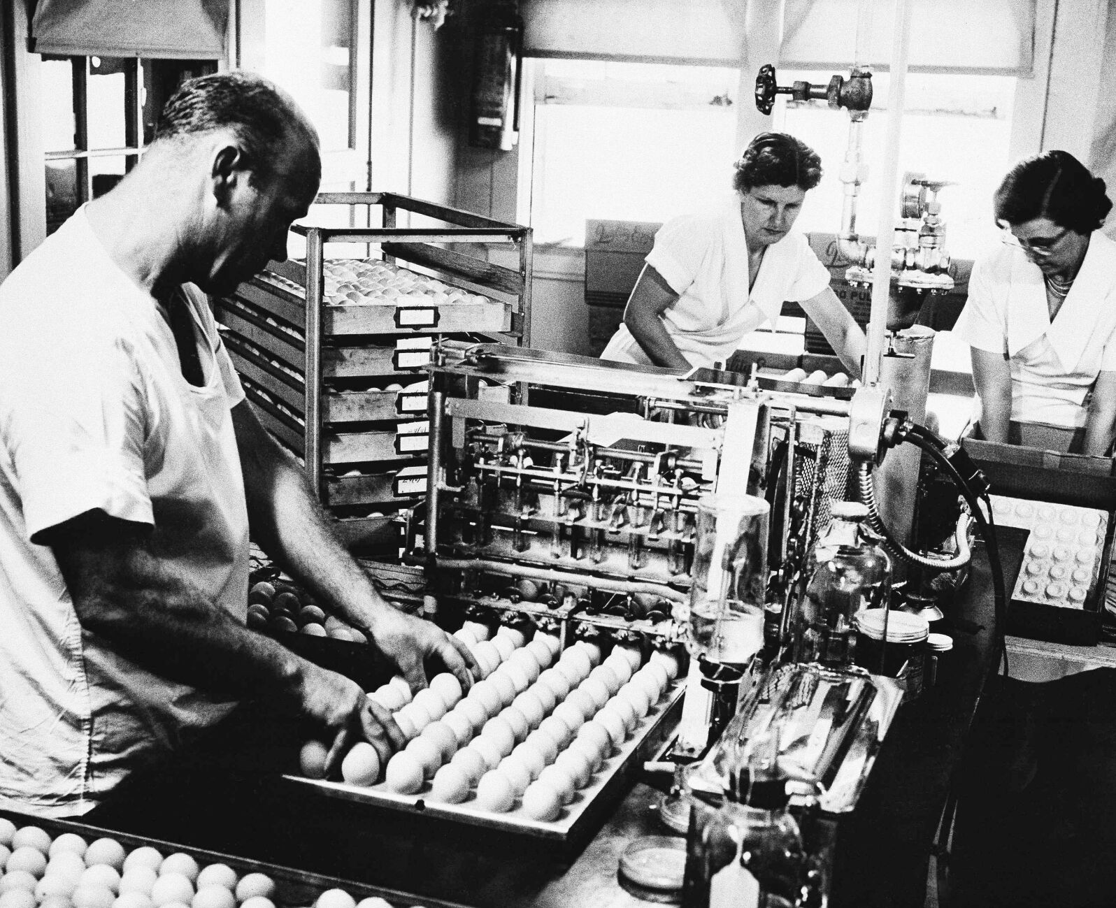 1957 flu pandemic
